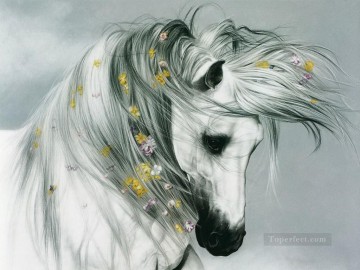 am154D animal caballo Pinturas al óleo